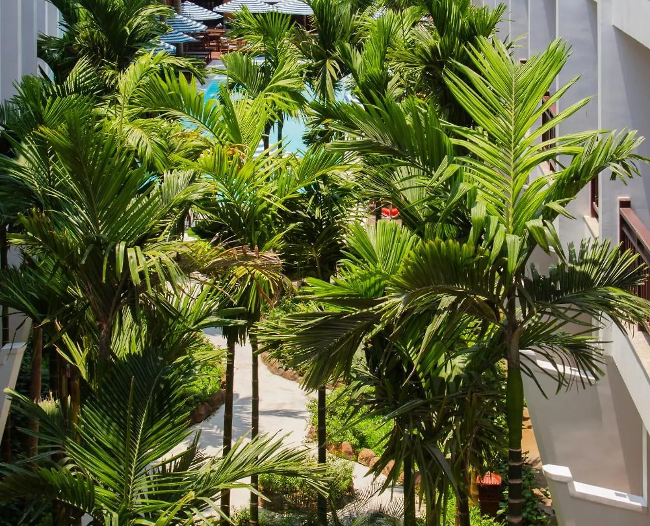 *****  Wafaifo Resort Hoi An Vietnam